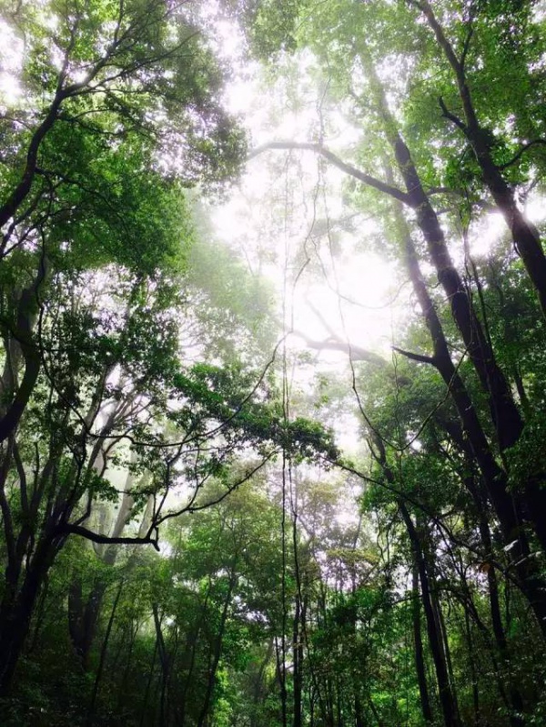 6月18、19日享四重福利，贏大獎—龍巖九溪廬漂流一日游等你來奪冠！（轉(zhuǎn)發(fā)立即減免10元）