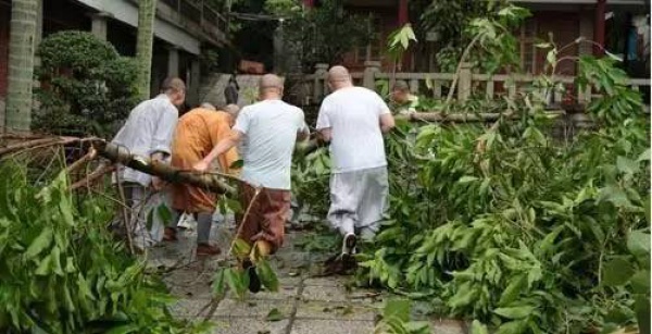 一起見證廈門奇跡，這座滿目瘡痍的城市已經傷愈！