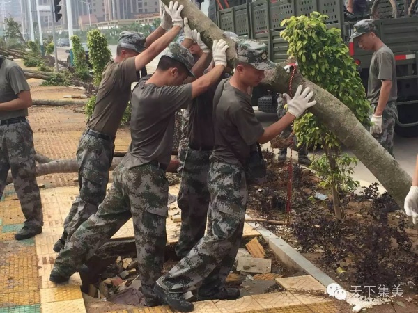 你聽說過“集美速度”嗎？看完臺風(fēng)后的集美交通你就明白……