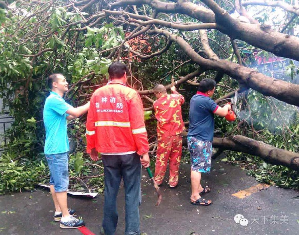 臺風中不能被遺忘的畫面，看一次感動一次！