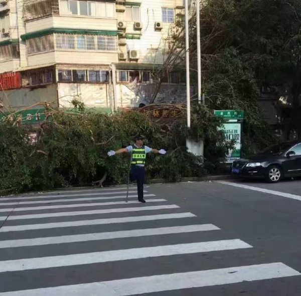 這是翔安的災難，可卻在朋友圈瘋傳著這些照片！