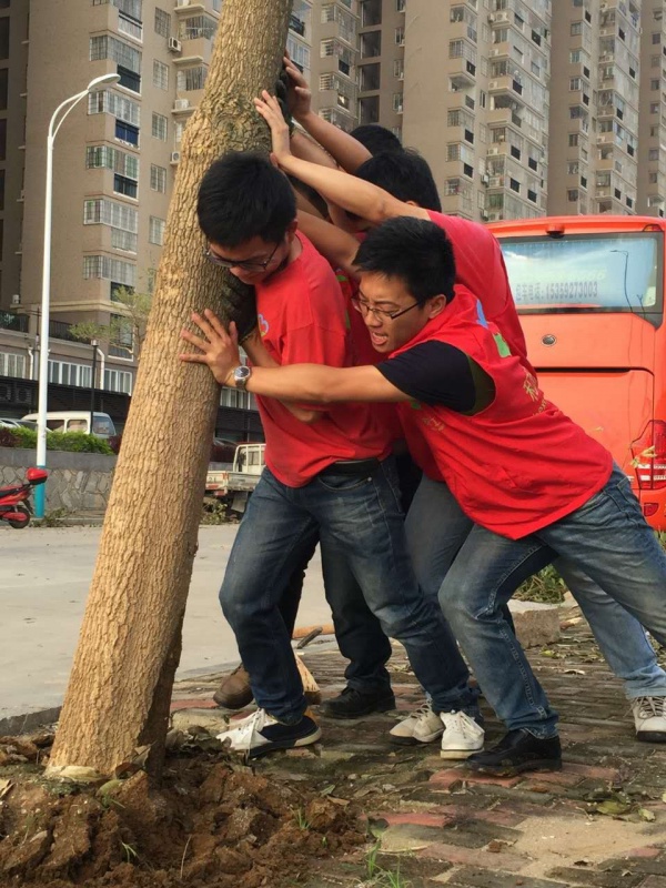 重要提示：重建家園鼓舞士氣需要您的一份力！