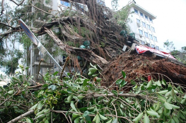 重要提示：重建家園鼓舞士氣需要您的一份力！