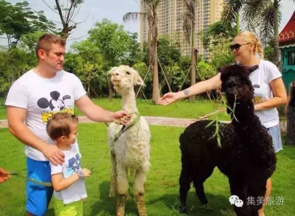 天吶嚕！氣球藝術節的氣球們竟然偷偷跑到這些地方……