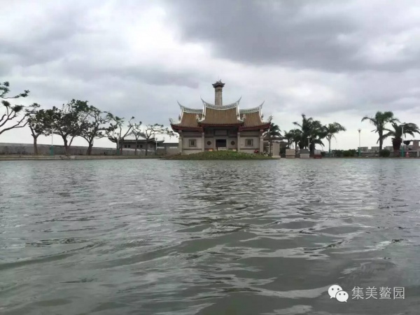 這是集美鰲園一年唯獨一次的景色