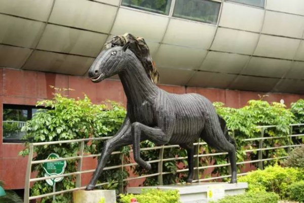 【嘩！】元旦節假期好去處：廈門風車游樂園開園了，無限量門票免費送！