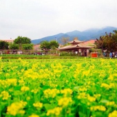 東孚大曦山公園