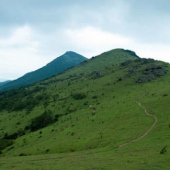 福清大姆山草場