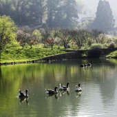 閩侯旗山森林公園