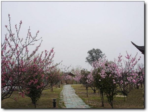 桃源休閑農(nóng)莊_閩侯桃源休閑農(nóng)莊_桃源休閑農(nóng)莊