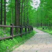 平潭島國(guó)家森林公園