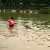 臺(tái)江鰲峰公園